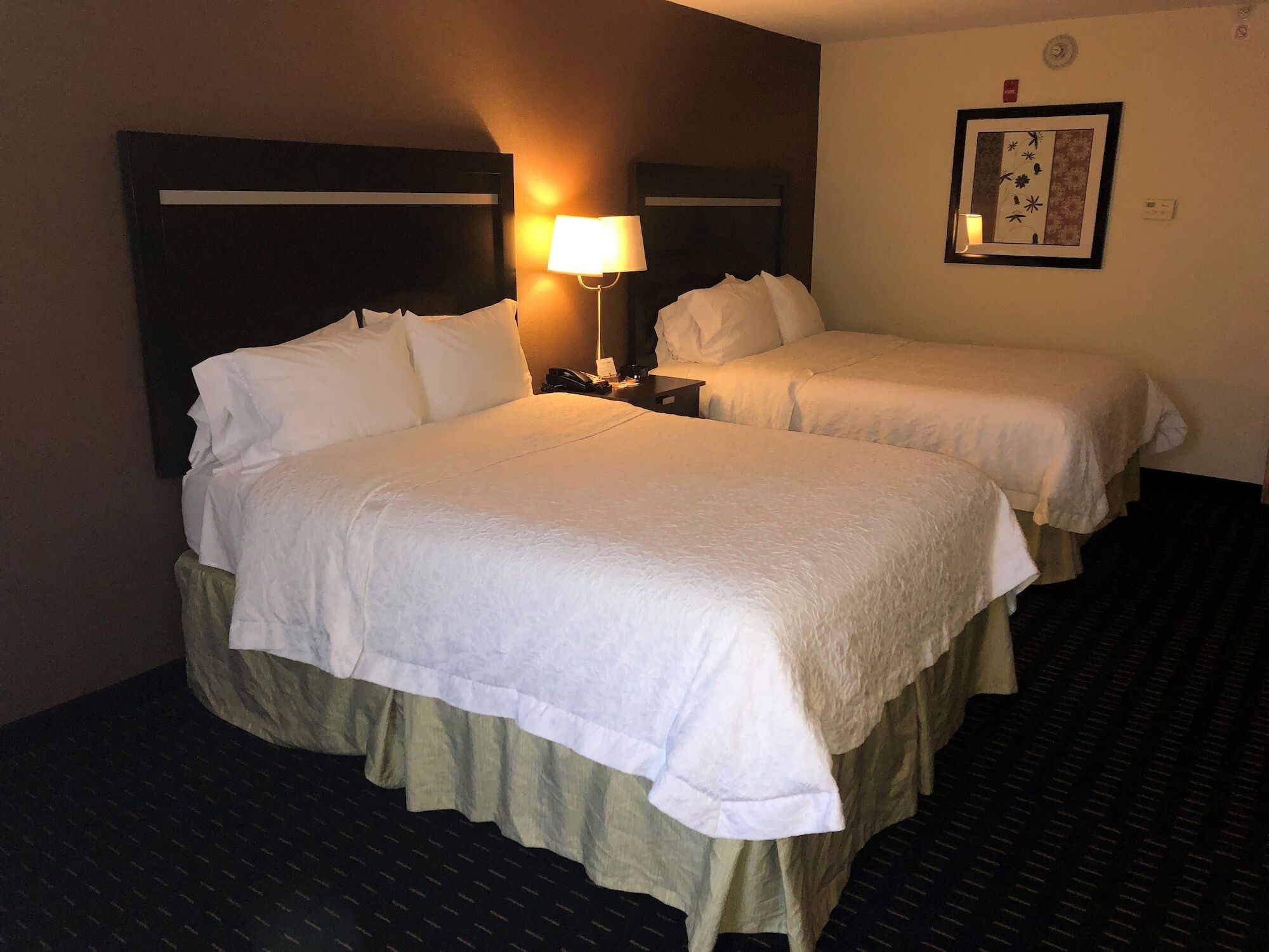 Hampton Inn Jericho - Westbury Bagian luar foto